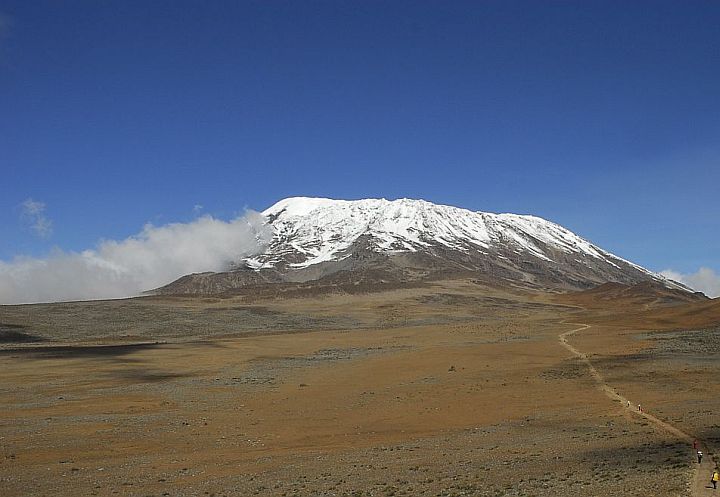 Trail to Kilimanjaro