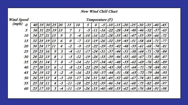 Meter To Feet Conversion Chart