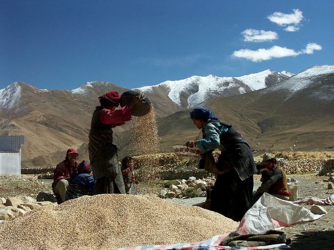 Tibetan People