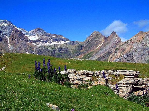 The Pyrenees Mountains