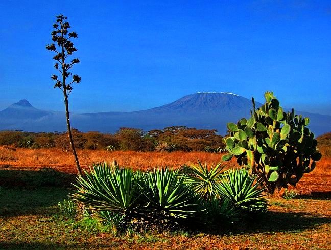 Mount Kilimanjaro